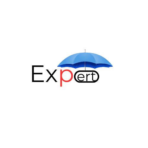 import icon